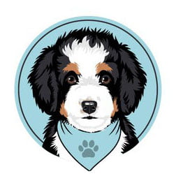 bernedoodle logo